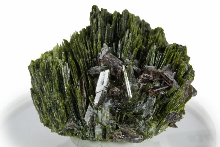 Lustrous Green Epidote Crystal Sprays with Axinite - Peru #347882